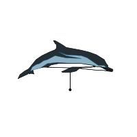 _images/stripeddolphin_low.png