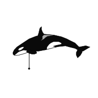 _images/killerwhale_low.png