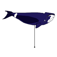 _images/bowhead.png