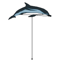 _images/stripeddolphin_high.png