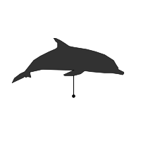 _images/unidentifieddolphin_low.png