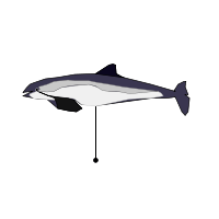 _images/commonporpoise_low.png
