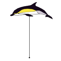 _images/commondolphin_high.png