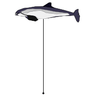 _images/commonporpoise_high.png