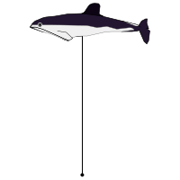 _images/spectacledporpoise_high.png