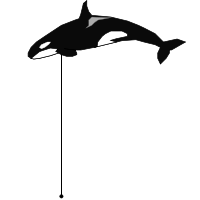 _images/killerwhale_high.png