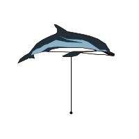 _images/stripeddolphin.png