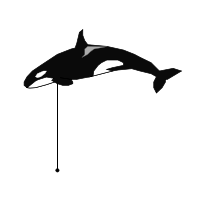 _images/killerwhale.png