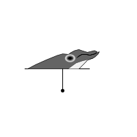 _images/unidentifiedbeakedwhale_low.png